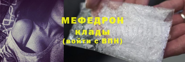 МДПВ Дмитриев