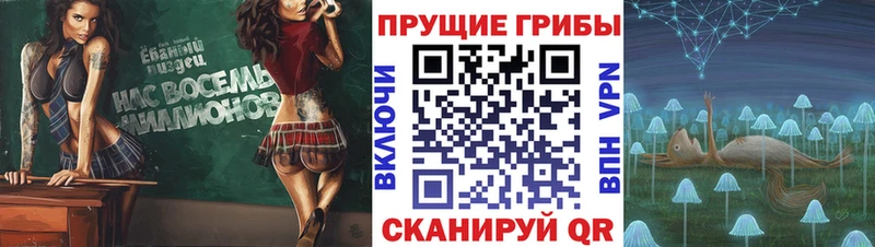 Галлюциногенные грибы GOLDEN TEACHER  Окуловка 